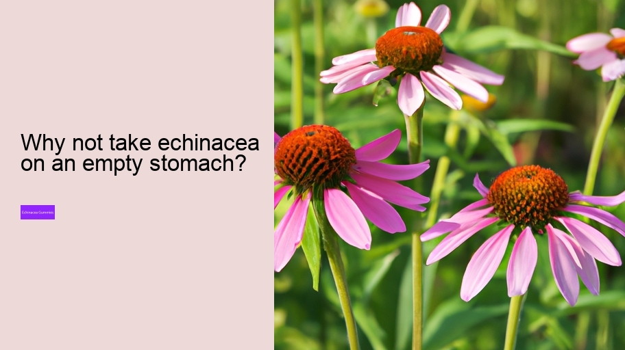 Why not take echinacea on an empty stomach?