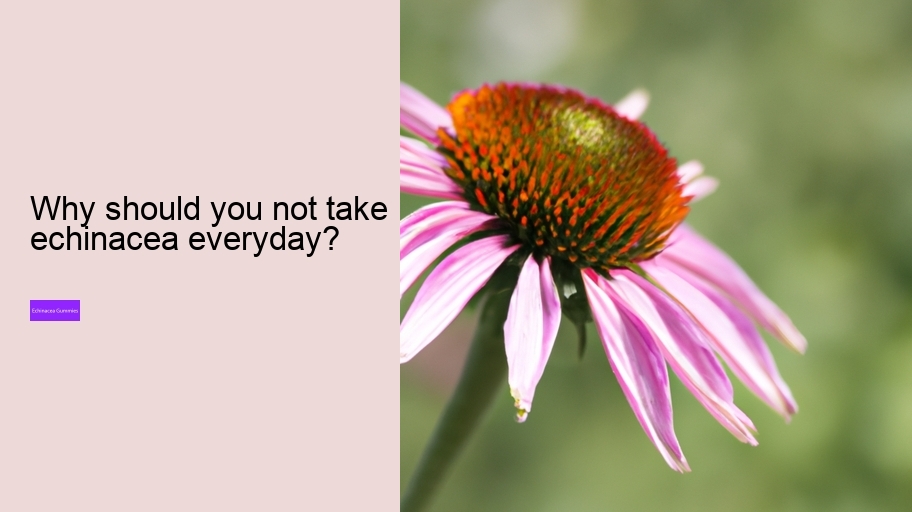 Why should you not take echinacea everyday?