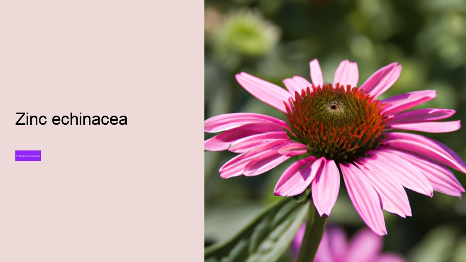 zinc echinacea