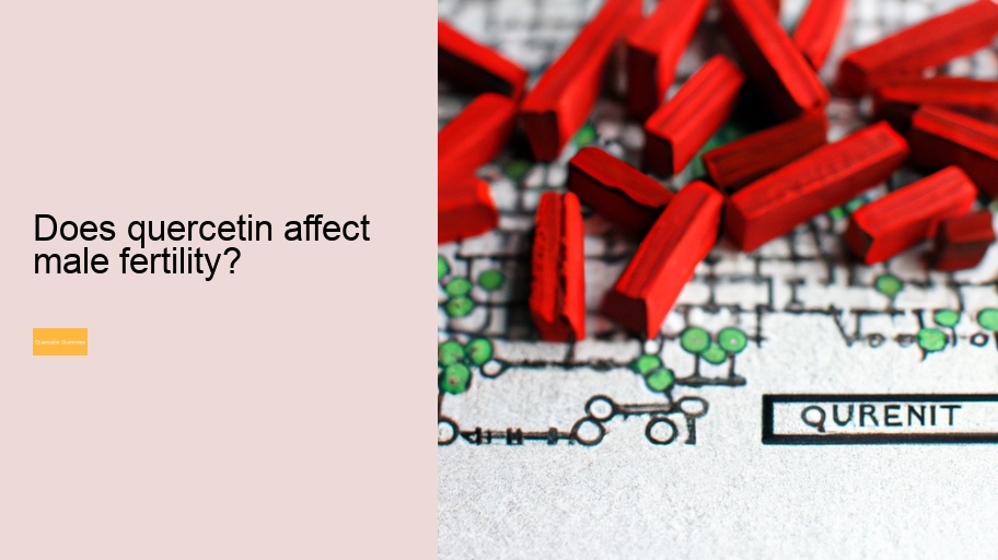 Does quercetin affect male fertility?