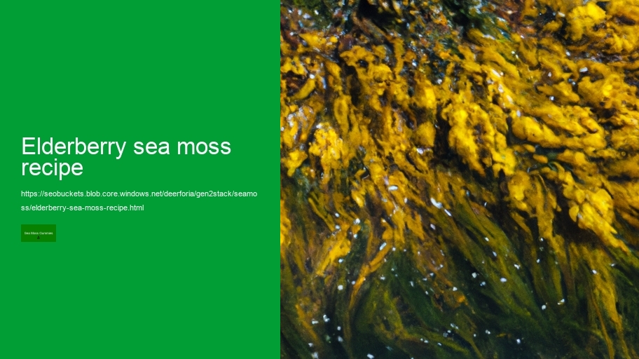elderberry sea moss recipe