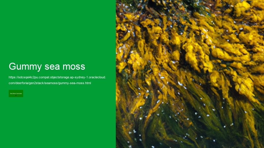 gummy sea moss