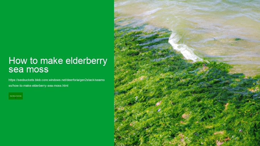 how to make elderberry sea moss