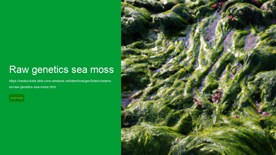 raw genetics sea moss