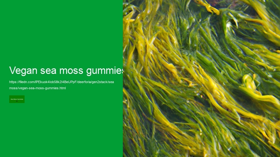 vegan sea moss gummies