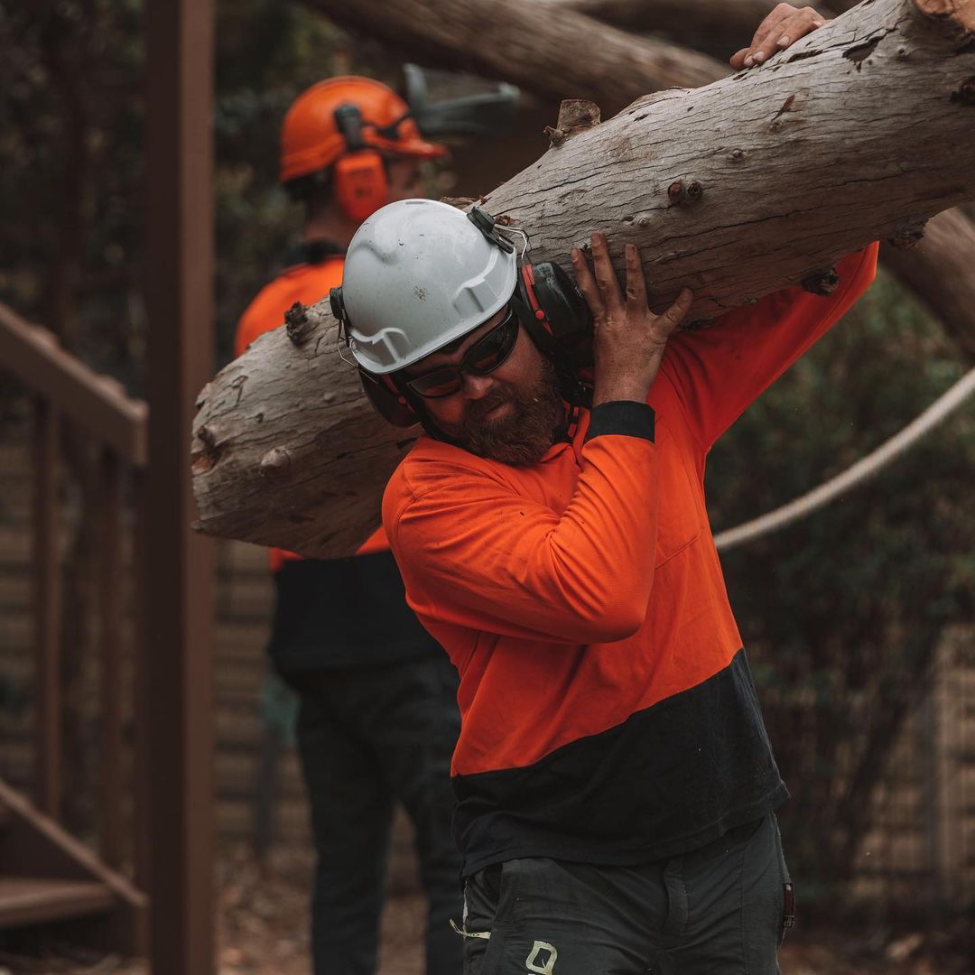 Tree Trimming Inner West