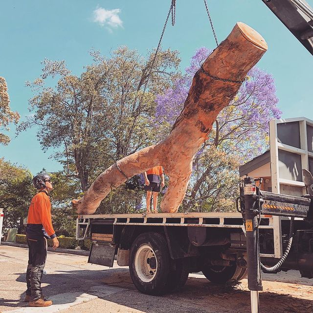 Stump Grinding Inner West