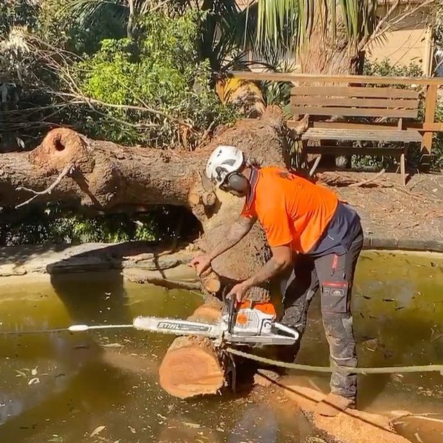 Tree Pruning Inner West