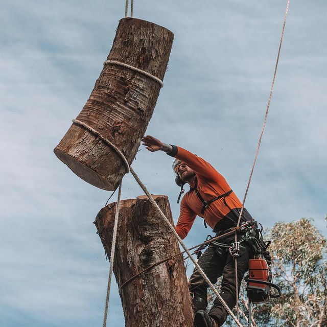 Inner West Stump Removal